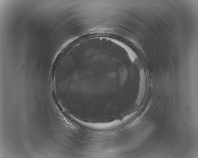 X0000066121117200603311528