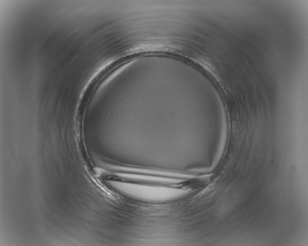 X0000066121119200603311528