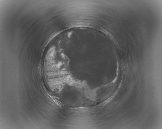 X0000066121121200603311528