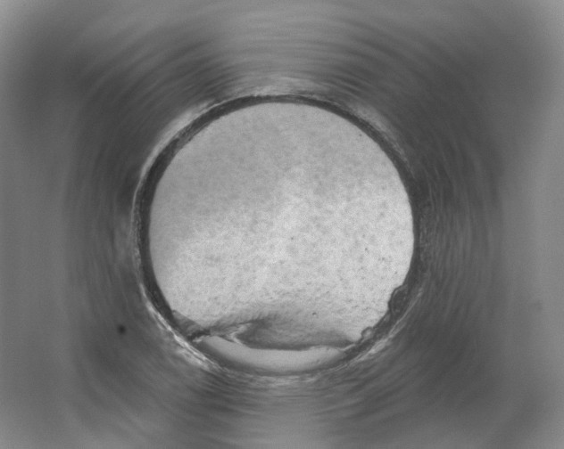 X0000066121122200603311528