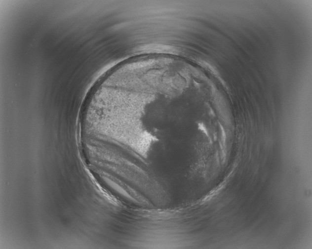 X0000066121125200603311528