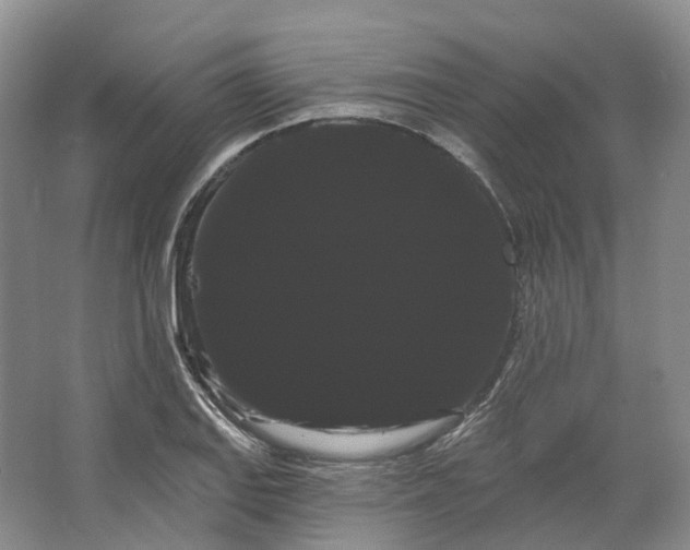 X0000066121127200603311529