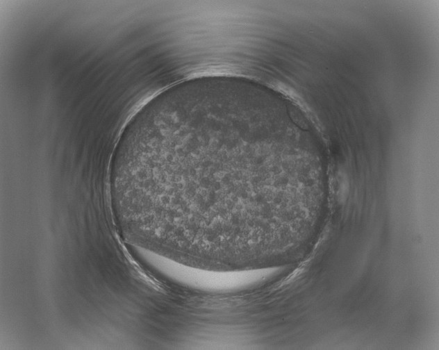 X0000066121129200603311529