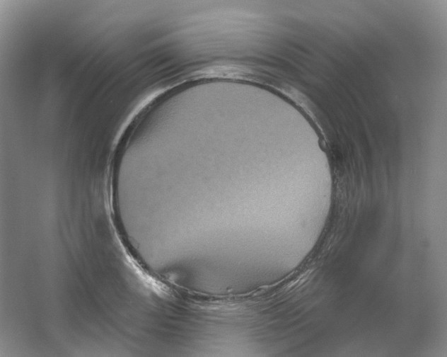 X0000066121131200603311529