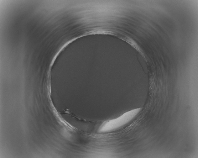 X0000066121132200603311529