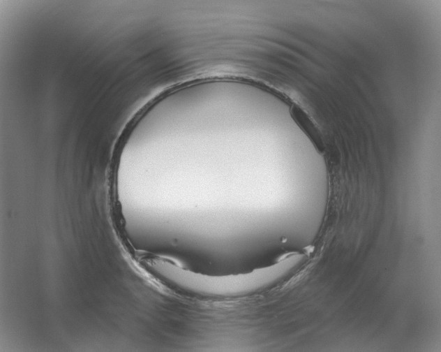 X0000066121134200603311529