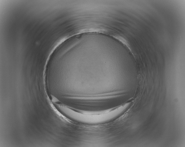 X0000066121135200603311529