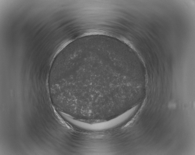 X0000066121137200603311529