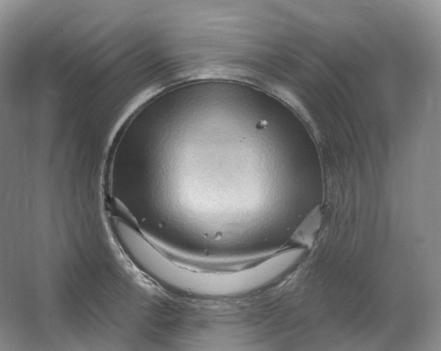 X0000066121138200603311529