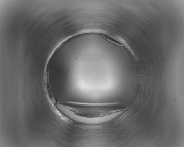 X0000066121140200603311529