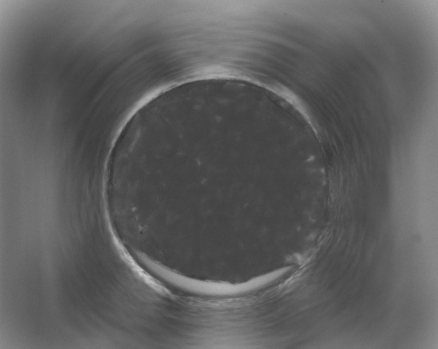 X0000066121142200603311529