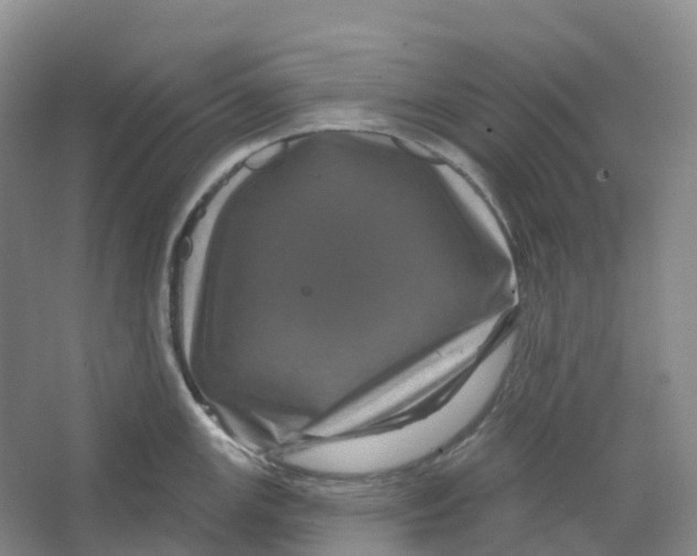 X0000066121147200603311529