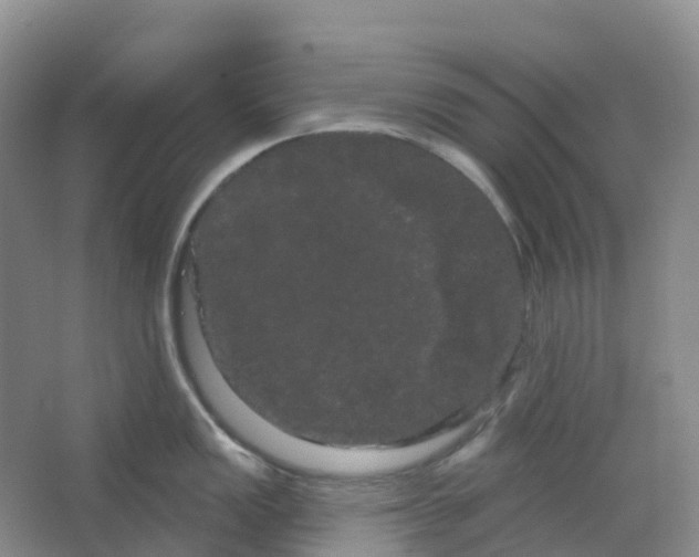 X0000066121149200603311529