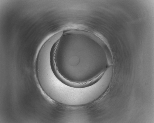 X0000066121152200603311529