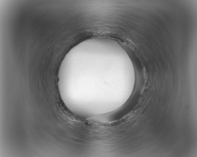 X0000066121153200603311528