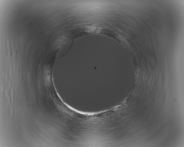 X0000066121154200603311528