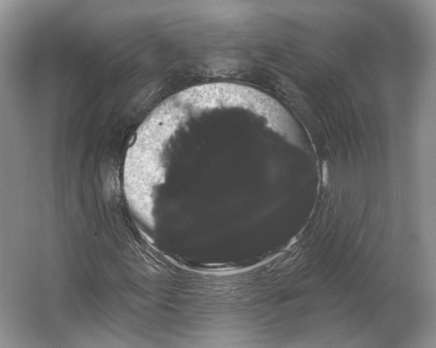 X0000066121155200603311528