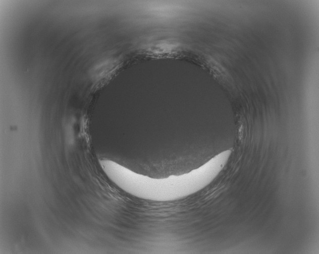 X0000066121156200603311528