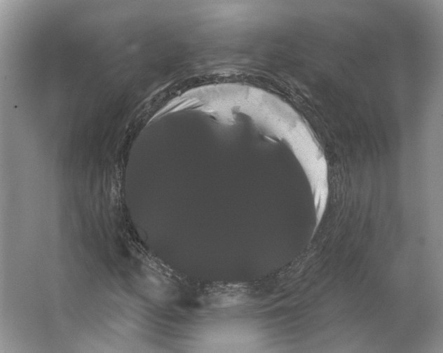 X0000066121158200603311528