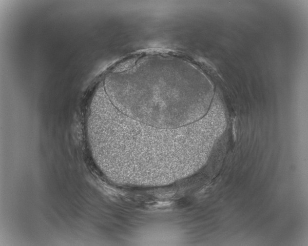 X0000066121159200603311528