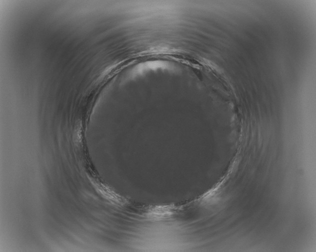 X0000066121161200603311528