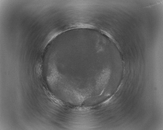 X0000066121163200603311528