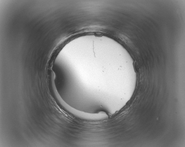 X0000066121164200603311528