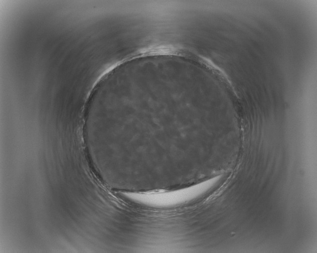 X0000066121166200603311528