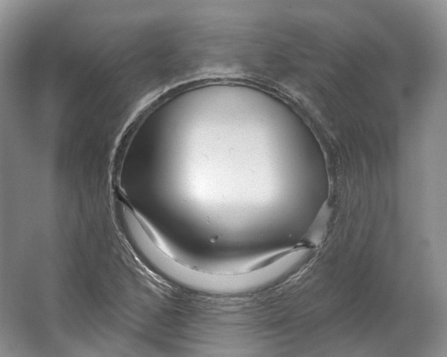 X0000066121168200603311528