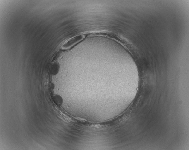 X0000066121169200603311528