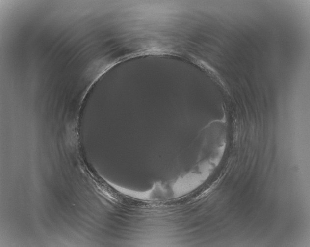 X0000066121170200603311528