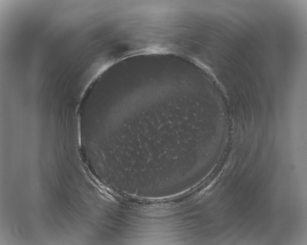 X0000066121171200603311528