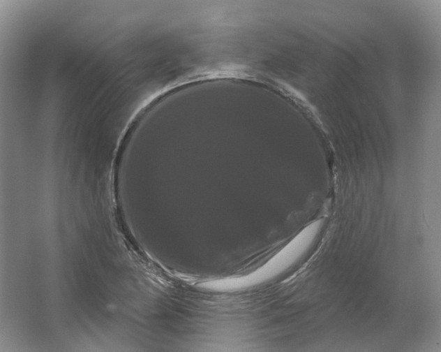 X0000066121174200603311528