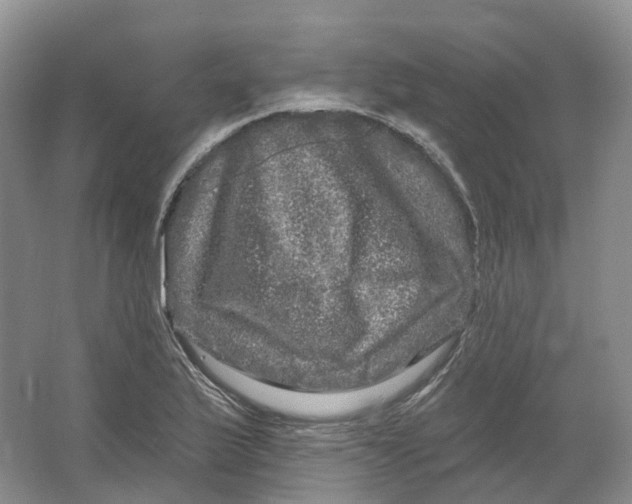 X0000066121175200603311528