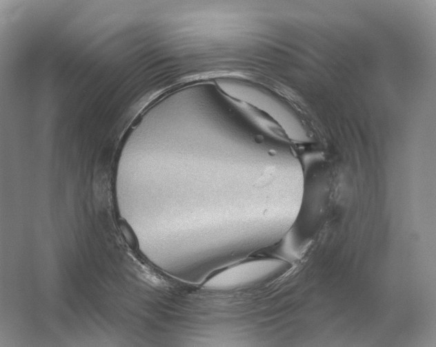 X0000066121177200603311528