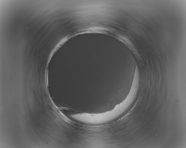 X0000066121180200603311528