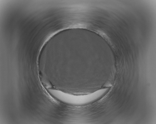 X0000066121184200603311528