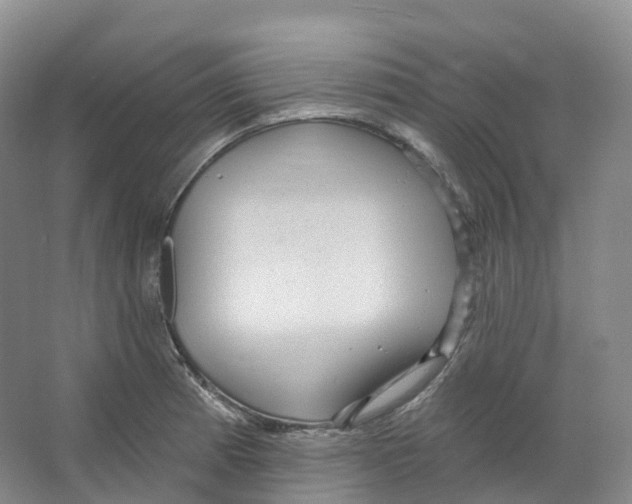 X0000066121185200603311528