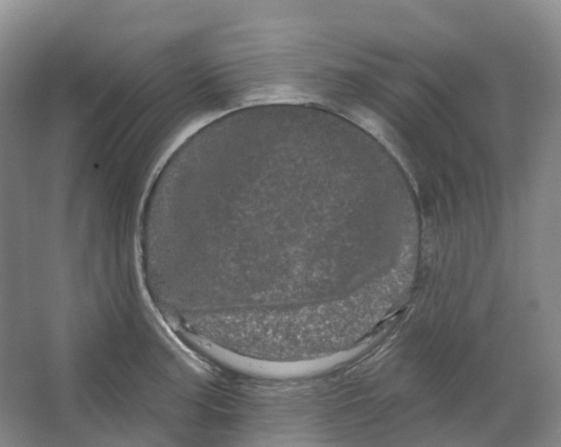 X0000066121187200603311528