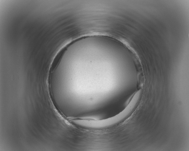 X0000066121189200603311528