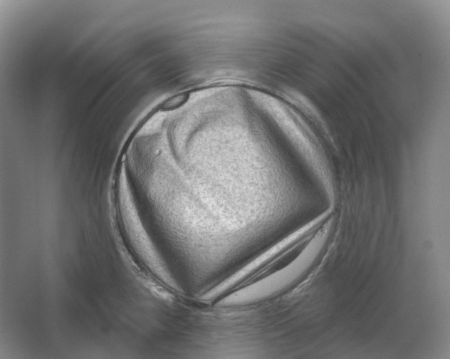 X0000066121190200603311527