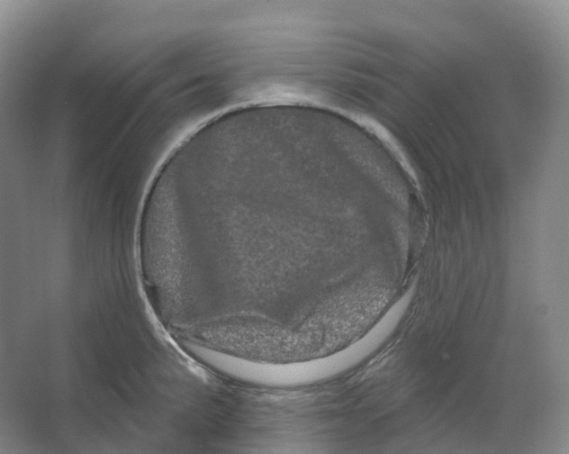 X0000066121191200603311527