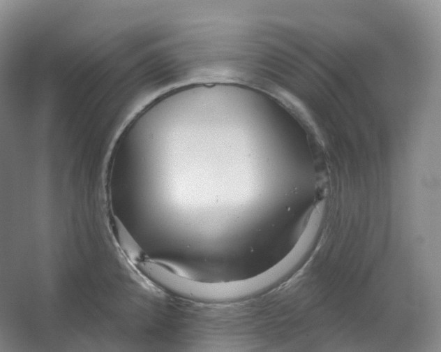 X0000066121192200603311527