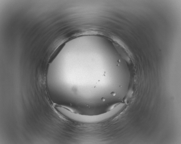 X0000066121193200603311527