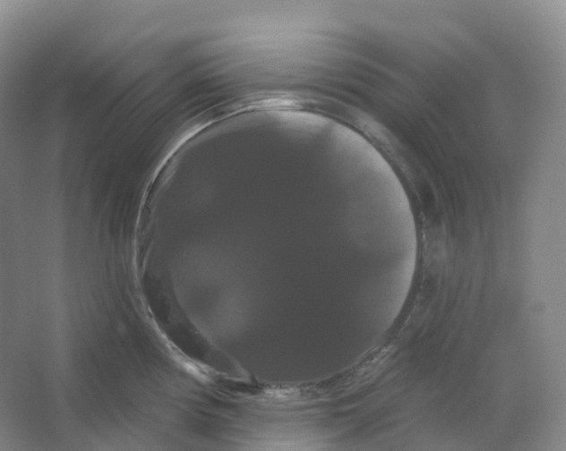 X0000066121194200603311527