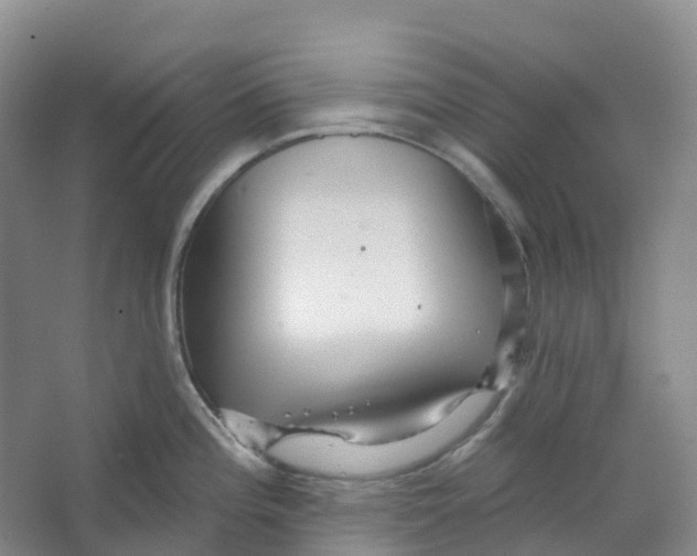 X0000066121196200603311527