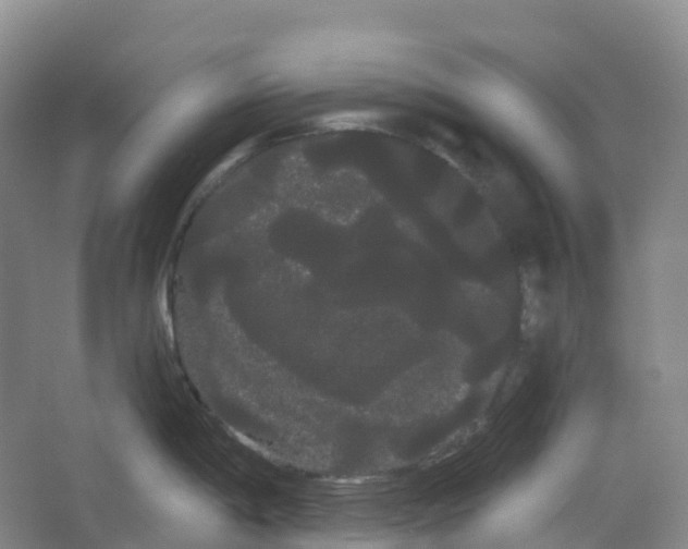 X0000066121198200603311527