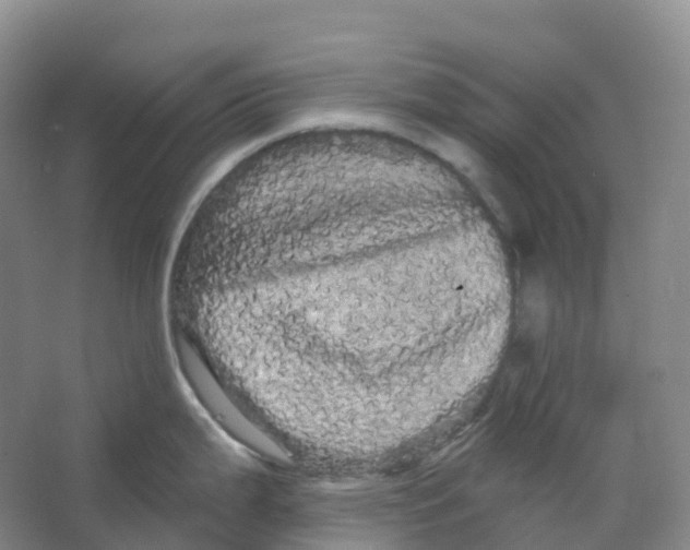 X0000066121199200603311527