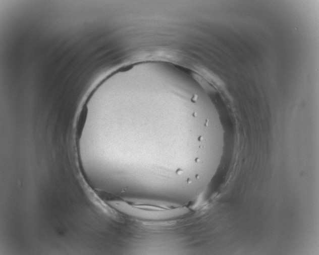 X0000066121200200603311527