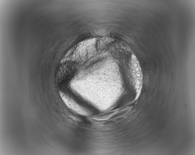 X0000066121201200603311527